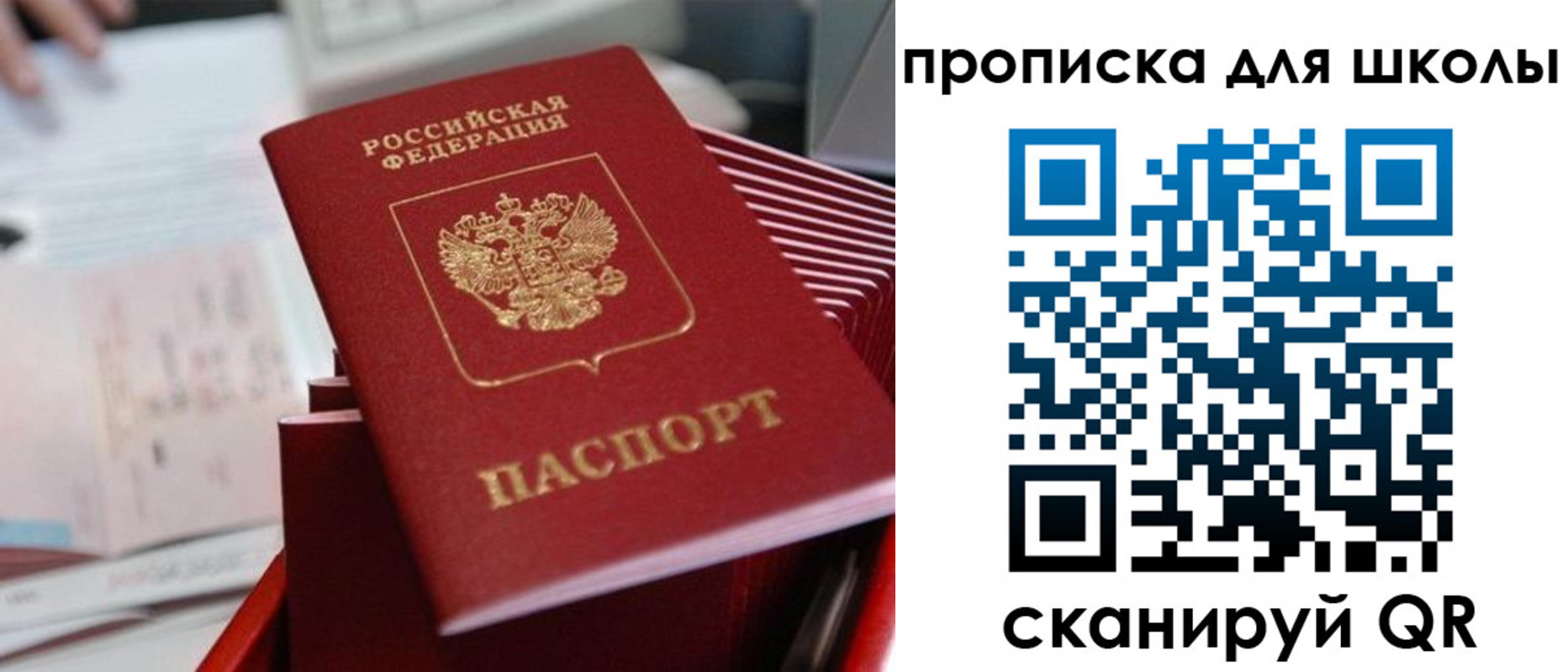 прописка для школы в Липецкая области